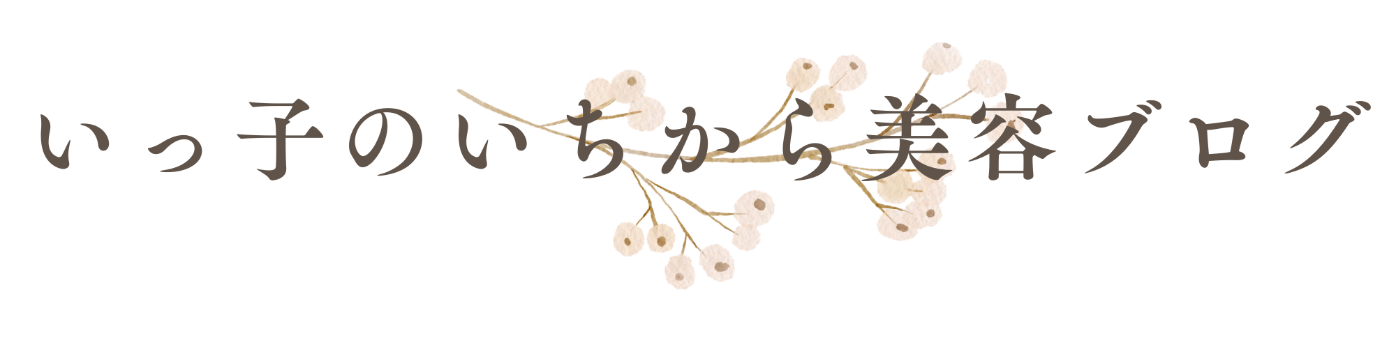 いっ子のいちから美容ブログ
