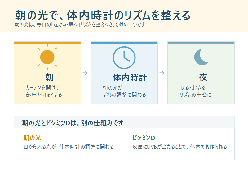 朝日と体内時計のリズム