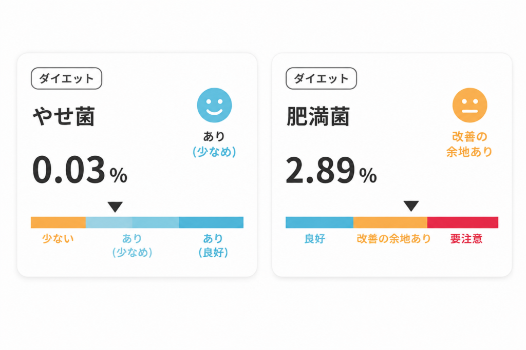 マイキンソー結果:やせ菌と肥満菌の割合