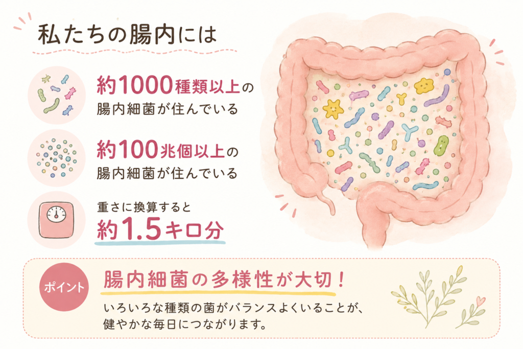 腸内フローラについて多様性が大切