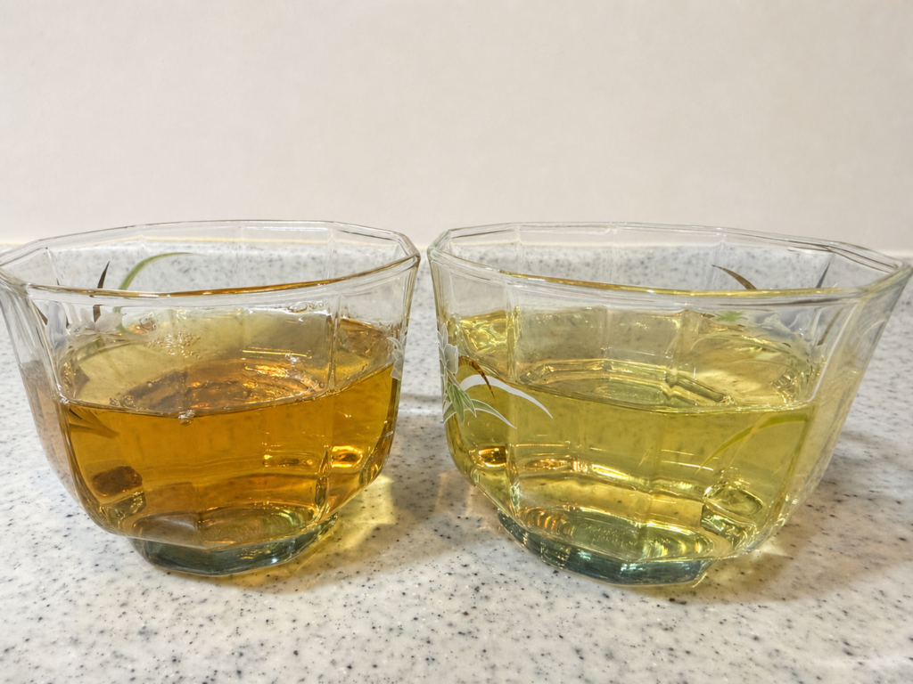 水出し煮だし比較正面から